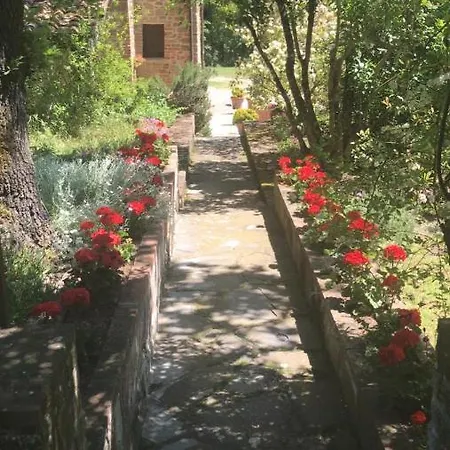 La Berchiera Apartment Ciggiano