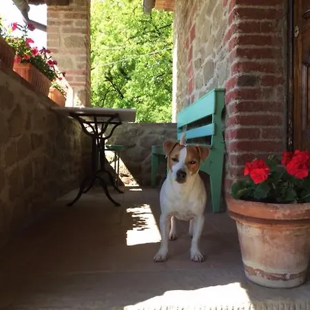 Διαμέρισμα La Berchiera *