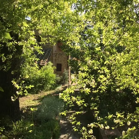 Apartment La Berchiera Ciggiano
