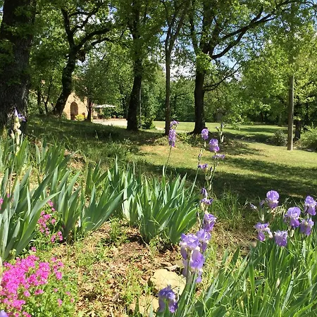 Διαμέρισμα La Berchiera Ciggiano