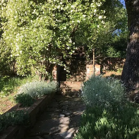 La Berchiera * Ciggiano